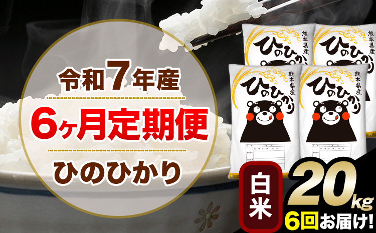 令和7年産 【6ヶ月定期便】 白米 ひのひかり 20kg 5kg×4袋《お申し込みの翌月から出荷》熊本県産 単一原料米 南阿蘇村 ひのひかり 送料無料 熊本県 米 コメ こめ 国産---hn7tei_258000_20kg_mo6_mna_h---