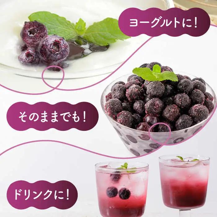 【12回定期便】大粒 冷凍ブルーベリー 約2000g（約500g×4pc）【すみれファーム】果物 フルーツ くだもの 大粒 小分け 熊本県産ブルーベリー [ZEP018]