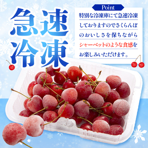フローズンさくらんぼ「大将錦」2L玉200g入　A-0736