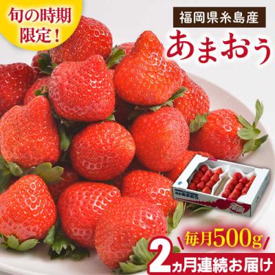 ふるさと納税 糸島市 【全2回定期便】糸島産【冬】あまおう2パック 毎月計500g /南国フルーツ株式会社[AIK025]