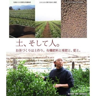 ふるさと納税 筑前町 奥八女星野村 深蒸し高級煎茶(深蒸し茶)100g×1袋(筑前町) |  | 03