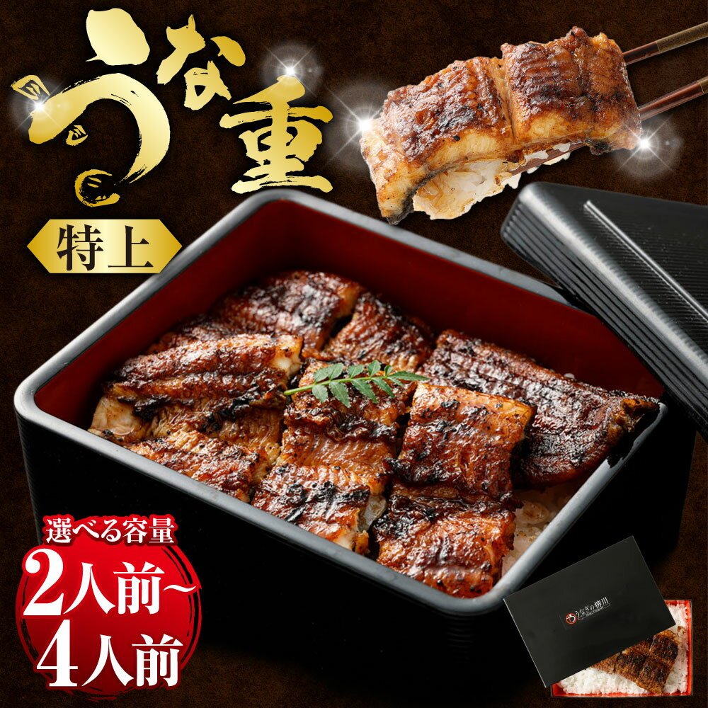 【ふるさと納税】＜選べる内容量＞うな重（特上）2人前～4人前 うなぎ1人前約165g 国産 うなぎ ウナギ 鰻 蒲焼き 蒲焼 うなぎ蒲焼き 鰻蒲焼き 鰻の蒲焼き 山椒 タレ付き 温めるだけ 簡単調理 冷凍 九州 熊本県 送料無料