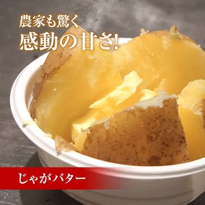 北海道産 熟成じゃがいも 北海黄金 4kg  期間限定 雪室貯蔵 十勝産 ジャガイモ じゃが芋 いも 甘い