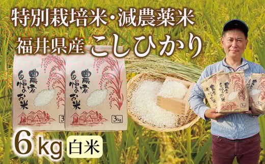 〈先行予約・新米〉減農薬米 こしひかり  6kg(3kg×2袋)／令和7年 福井県産 （白米）2025年12月発送 人気品種 少量サイズ便利
