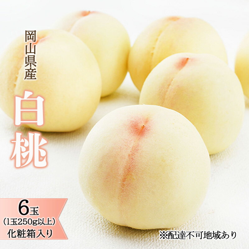 【ふるさと納税】桃 2026年 先行予約 白桃 6玉（1玉250g以上）化粧箱入り もも モモ 岡山県産 国産 フルーツ 果物 ギフト 　お届け：2026年7月上旬～2026年8月上旬