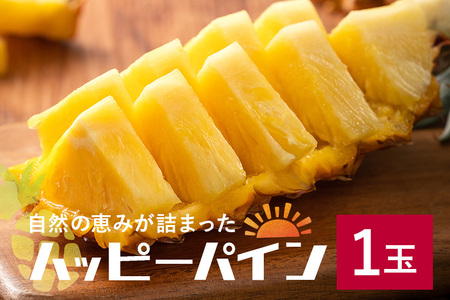 【2026年発送】パイナップル ハッピーパイン1玉 幻のパイナップル