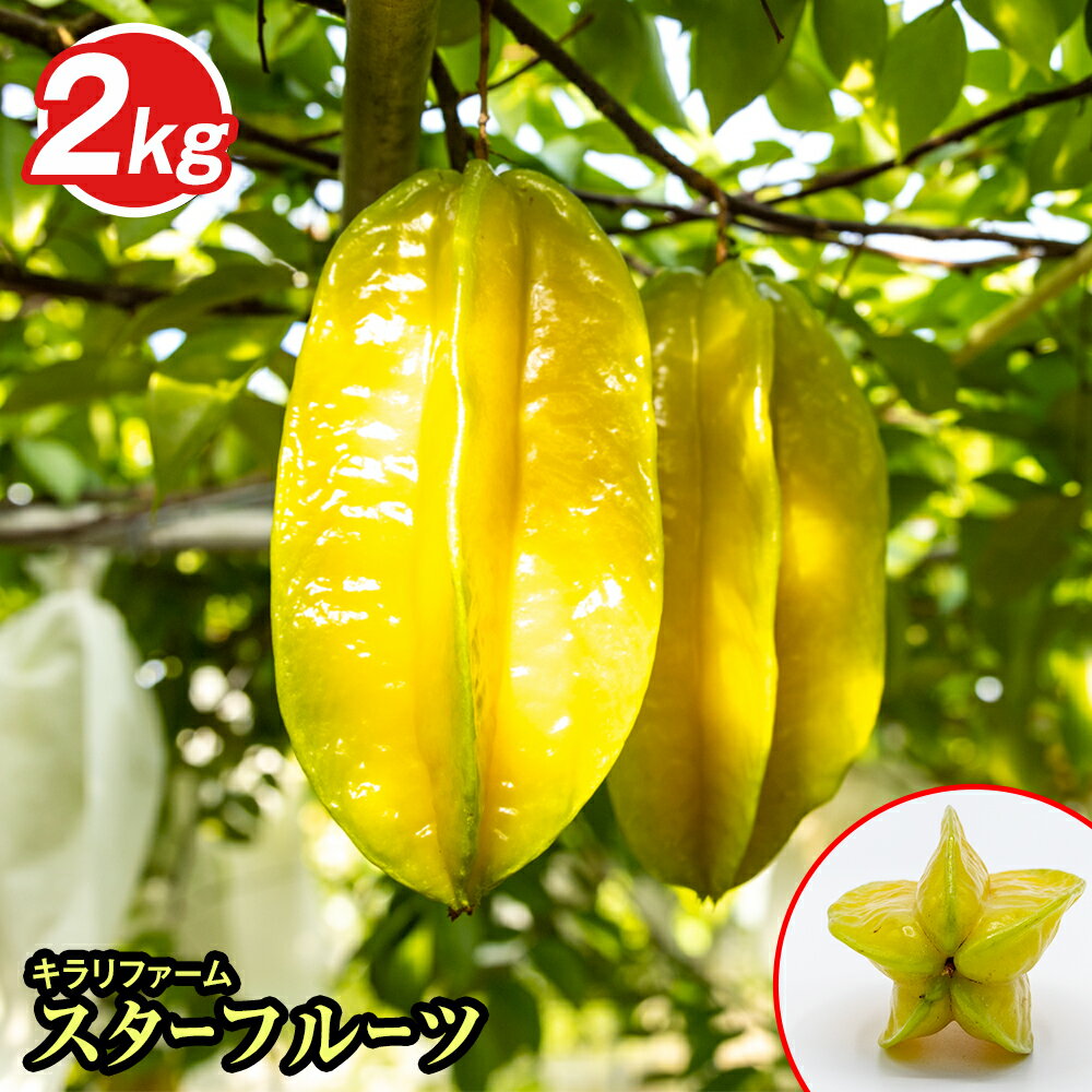 【ふるさと納税】【2025年11月から順次発送】キラリファーム　スターフルーツ　2kg