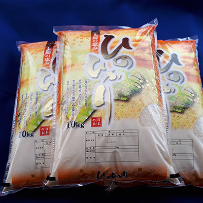 
            《新米》【令和7年産】　大和米　奈良県広陵町産ヒノヒカリ　白米10kg×3
          