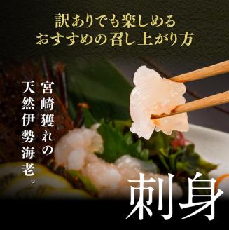 【訳あり】冷凍伊勢海老1kg（2～7尾）【 魚介類 えび 伊勢えび イセエビ】[C01706]