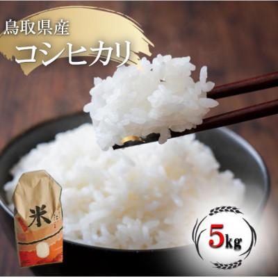 ふるさと納税 琴浦町 コシヒカリ 令和7年産 鳥取県産 5kg