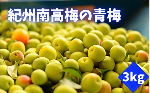 ＜先行予約＞紀州南高梅の青梅   3kg ※2025年6月上旬以降随時発送予定 / 和歌山 田辺市 紀州南高梅 南高梅 梅干し 梅干 梅 うめ 青梅 梅シロップ 梅酒【mnm008】