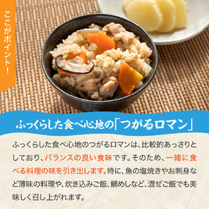【令和7年 新米 先行受付】 米 つがるロマン 10kg （5kg×2） 特別栽培米 青森県産 【2025年11月より順次発送】【KonRiceFarmの お米 精米 白米 青森 五所川原 】
