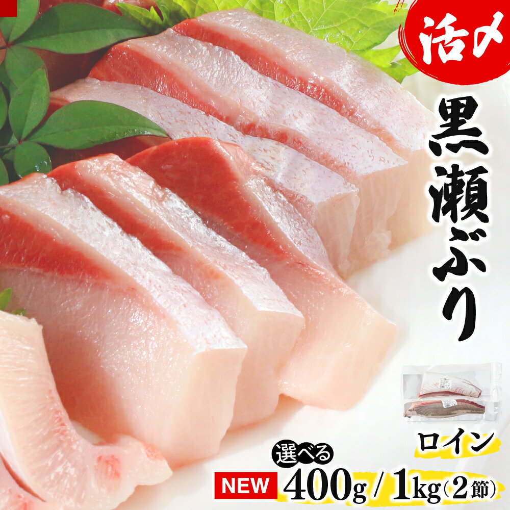 【ふるさと納税】【数量限定】高評価！活じめ！黒瀬ぶりの生鮮ブリロイン 2節 400g 1kg 刺身やぶり丼、カルパッチョやサラダなどに！冷蔵 しゃぶしゃぶ たたき 海鮮丼 お取り寄せ グルメ ギフト 贈答用 お歳暮 お中元 お祝い 人気 大満足 送料無料 宮崎県 串間市【KU281】