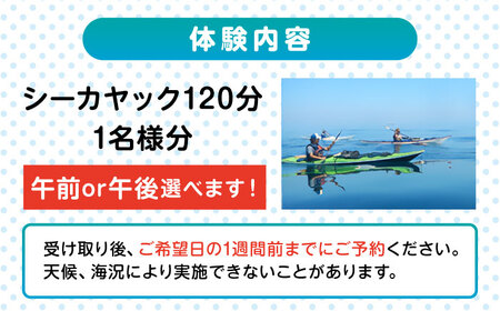 コアアウトフィッターズ　葉山・秋谷 はじめてのシーカヤック体験チケット　1名様120分利用券【(有)コア　アウトフィッターズ】 [AKBT008]