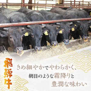 飛騨牛 モモ又は肩 すき焼き・しゃぶしゃぶ用 岐阜県産 飛騨牛【500g】
