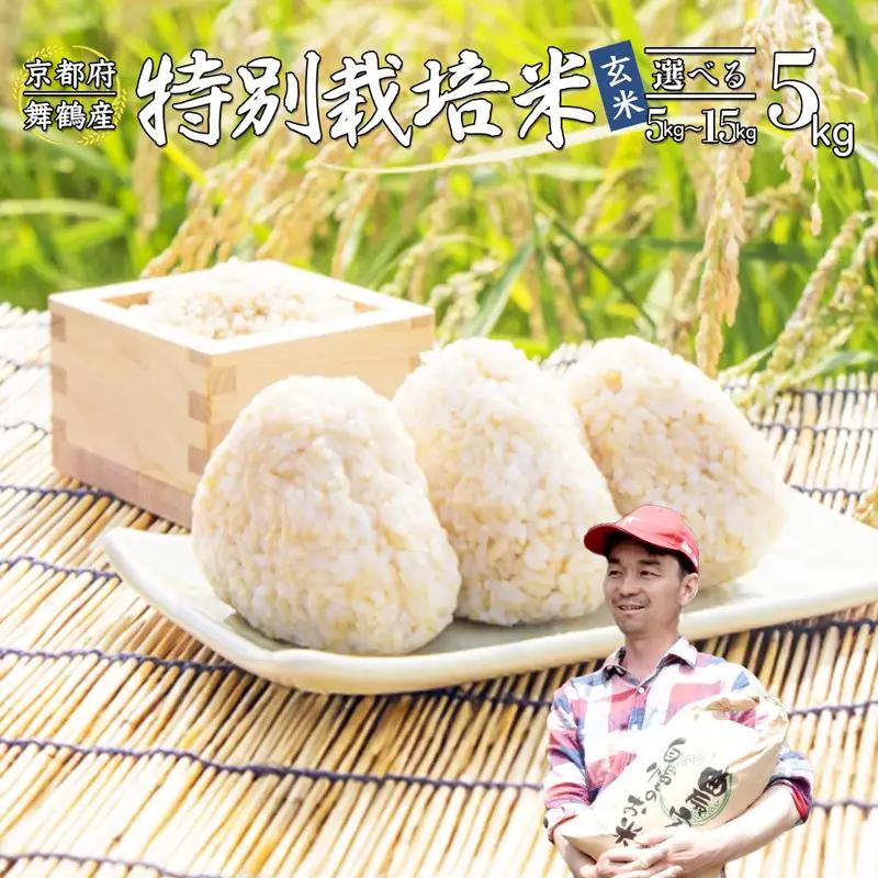 令和8年度産 新米 予約受付 棚田米 5kg 精米 コシヒカリ 特別栽培米 7割削減 白米