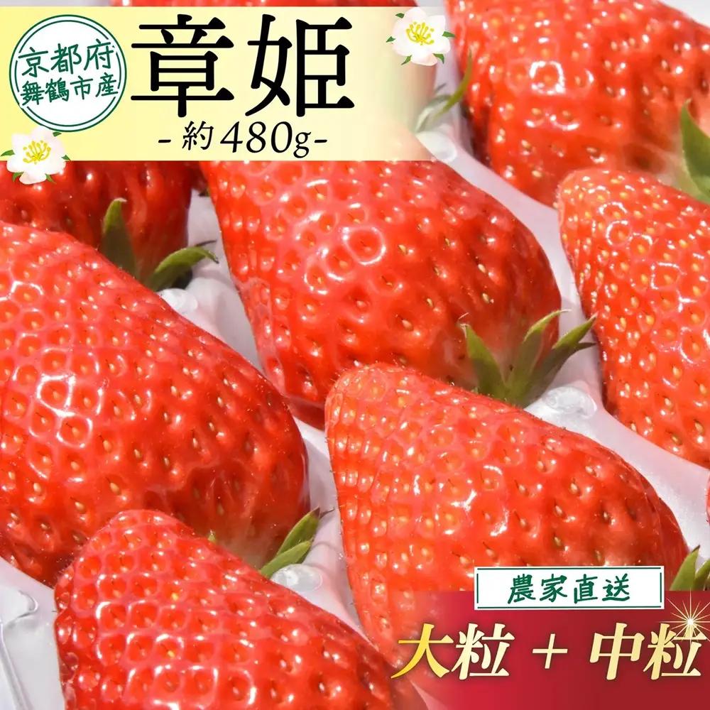 【2027年1月中旬以降発送】 いちご 章姫 (大粒+中粒) 480g前後（240g×2） イチゴ 苺 いちご