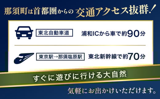 那須でゴルフを満喫！ゴルフ場利用券45,000円分｜ゴルフ ゴルフ場 利用券 チケット プレーチケット 体験 旅行 観光 プレー券 那須 栃木県那須町 那須町〔H-12〕 ※離島への配送不可