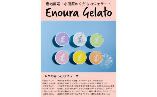 
                  小田原産江之浦ジェラート６種（みかん、湘南ゴールド、ブルーベリーミルク、いちごミルク、キウイヨーグルト、甘夏ヨーグルト）120mlカップ各１個合計６個
                