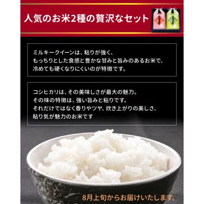 ふるさと納税 南九州市 令和7年産新米!鹿児島県産米2種食べ比べセット |  | 02