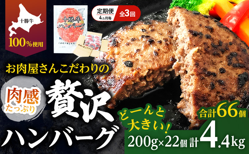 [大人気ハンバーグの定期便] 全3回/4ヶ月毎 合計66個 北海道 十勝牛 手ごねハンバーグ 200g×22個【 セット 牛100% 国産牛 牛肉 ハンバーグ パティ パテ 惣菜 小分け 冷凍 大きい 国産 北海道 十勝 幕別 】