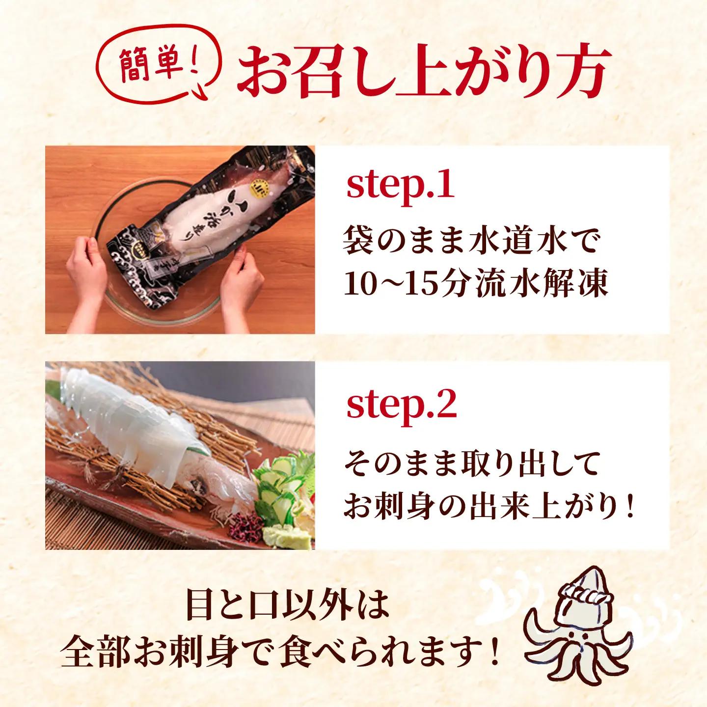 呼子剣先いか 活き造りMサイズ 2パック / イカ 烏賊 新鮮 刺身 / 佐賀県 / 佐賀玄海漁業協同組合（呼子CASセンター）[41ABAN001]
