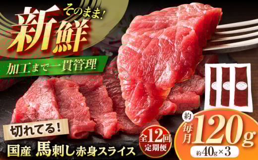 【全12回定期便】まな板不要! フジチク 切れてる 国産馬刺し 3P 計約120g　/ 定期便 専用醤油付き 生姜付き おすすめ 馬刺 赤身 国産 赤身馬刺し ばさし 冷凍 熊本県 菊陽町【株式会社フジチク】 [BHAD104]