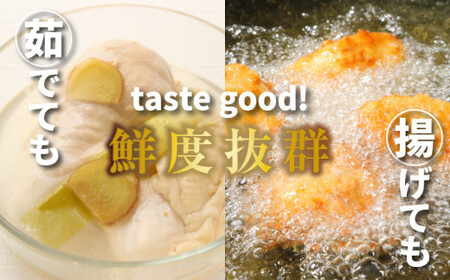 宮崎県産若鶏ムネ3㎏  K16_0083