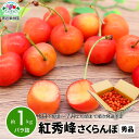 【ふるさと納税】紅秀峰 さくらんぼ 秀品 約1kg (バラ詰) 《黒岩果樹園》■2025年発送■※6月下旬頃～7月上旬頃まで順次発送予定 果物 サクランボ チェリー フルーツ くだもの