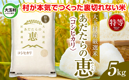 米 大玉村産厳選米「あだたらの恵」特等（品種：コシヒカリ） 5kg 《 令和7年産  》｜ 福島 大玉村 お米 米作り こしひかり 令和7年 精米 白米 こめ コメ ご飯 送料無料 大玉村農業振興公社 ｜ on-akt-5kg-r7