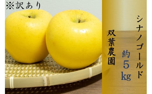 265 先行予約 ※訳あり りんご シナノゴールド ５㎏ 【双葉農園】