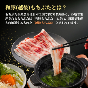 豚肉 越後もちぶた しゃぶしゃぶ 豚肩ロース 1kg (500g×2パック)  | 豚肉 新潟県
