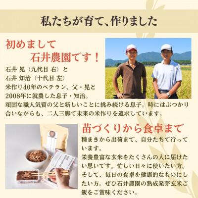ふるさと納税 弥彦村 熟成3日 発芽玄米ご飯 パックご飯 30個(3パック×10セット) コシヒカリで作った酵素玄米 |  | 03