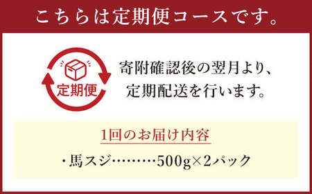 【 3ヶ月 定期便 】 馬スジ 1kg （ 500g × 2パック） 合計 3kg 冷凍 肉 お肉 馬肉 馬 スジ肉 スジ 煮込み 煮物 熊本