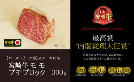 ＜宮崎牛＞モモ肉ブロック 300g※90日以内出荷【B330】