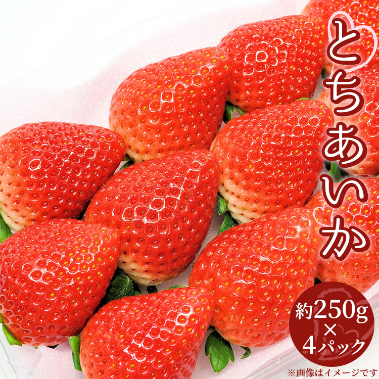 【先行受付】とちあいか 約250g×4パック 計約1kg〔P-220〕 | いちご イチゴ 苺 フルーツ 果物 デザート ストロベリー 那須 栃木県 那須町 ※2025年1月中旬頃より順次発送予定