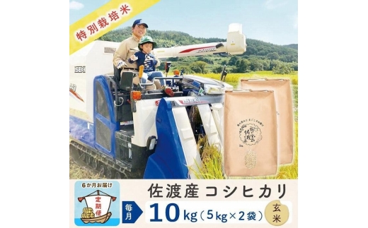 【令和8年産新米 6ヶ月】佐渡島産コシヒカリ 玄米 10kg 特別栽培米