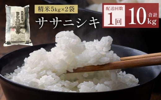 令和7年産 ササニシキ 精米 10kg（5kg×2）単品 米 お米 主食 白米 ご飯 ごはん ゴハン コメ こめ 防災減災