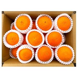 【贈答用】シュガーファームのハウスまどんな4kg【1643725】