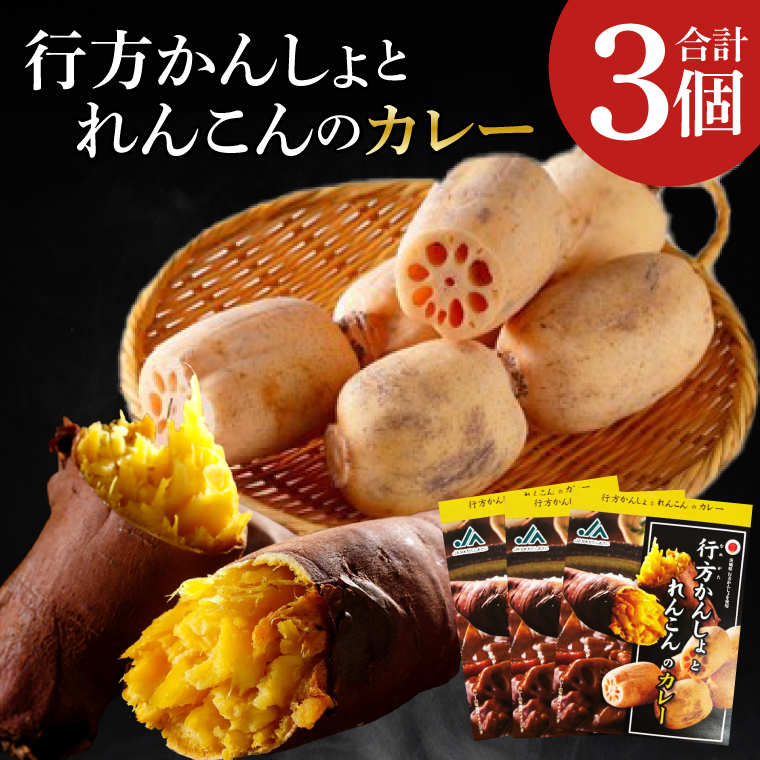 ～GI登録「さつまいも」使用～行方かんしょとれんこんのカレー(200g×3個)｜カレー レトルト レトルトカレー ご当地 ご当地カレー 人気 オススメ 便利 特産品 地元特産品 茨城県 行方市(AE-142)