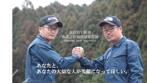 紫菊芋パウダー 100ｇ入 2袋 約40日分／菊芋 紫 薬草 腸活 水溶性食物繊維 イヌリン 朝食前 水 コーヒー ヨーグルト 奈良県 宇陀市