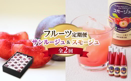 《先行受付》すもも&スモージュ 定期便【全2回】 【001-T47】