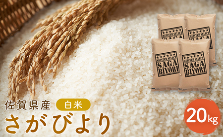 さがびより 新米 佐賀県産 白米 五つ星お米マイスター厳選 さがびより【20kg(5kg×4)】【先行予約】