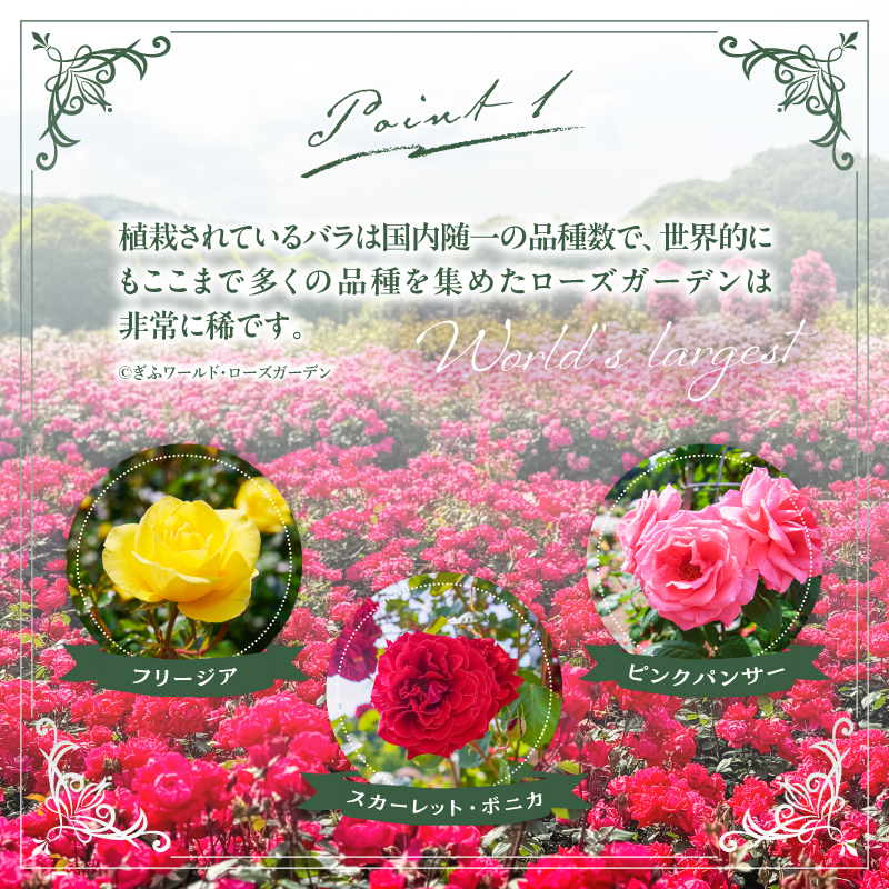 ぎふワールド・ローズガーデン 入園券 2枚【0070-001】_イメージ5