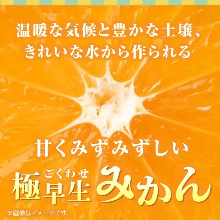 【先行予約】極早生みかん 約10kg　2S〜2Lサイズ　【くまふる】[ZBG054]