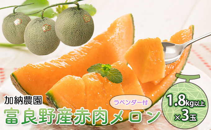 【2026年7月～発送】富良野産 赤肉 メロン ≪ラベンダー付≫ 3玉 計5.4kg以上 北海道 富良野市 (加納農園) メロン フルーツ 果物 新鮮 甘い 贈り物 ギフト 道産 ジューシー おやつ ふらの ブランド 夏 
