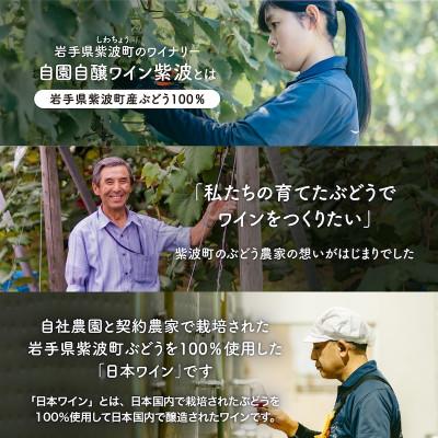 ふるさと納税 紫波町 【自園自醸ワイン紫波】辛口赤ワイン飲み比べ5本セット |  | 01