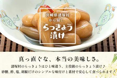 箸がとまらんおいしさ！ らっきょう漬け 150g×4P 常温｜らっきょう 漬物 お漬物 酢漬け おつまみ もろっこはうす 宮崎県 諸塚村 MO-43