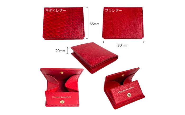 【Carmine】Ocean Leather BOXコインケース【ブリ】【興洋フリーズ株式会社】 [ATBX069-05]