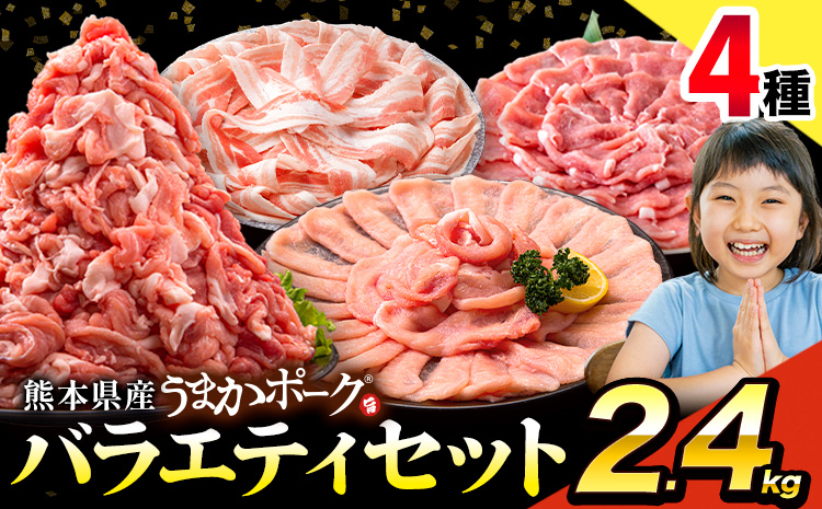豚肉 うまか ポーク バラエティ セット 2.4kg 豚肉 しゃぶしゃぶ 切り落とし 豚ロース バラ 豚バラ スライス 以上 定期便 真空 不揃い 数量限定 簡易包装 冷凍配送 小分け 《1月発送予定》 豚肉